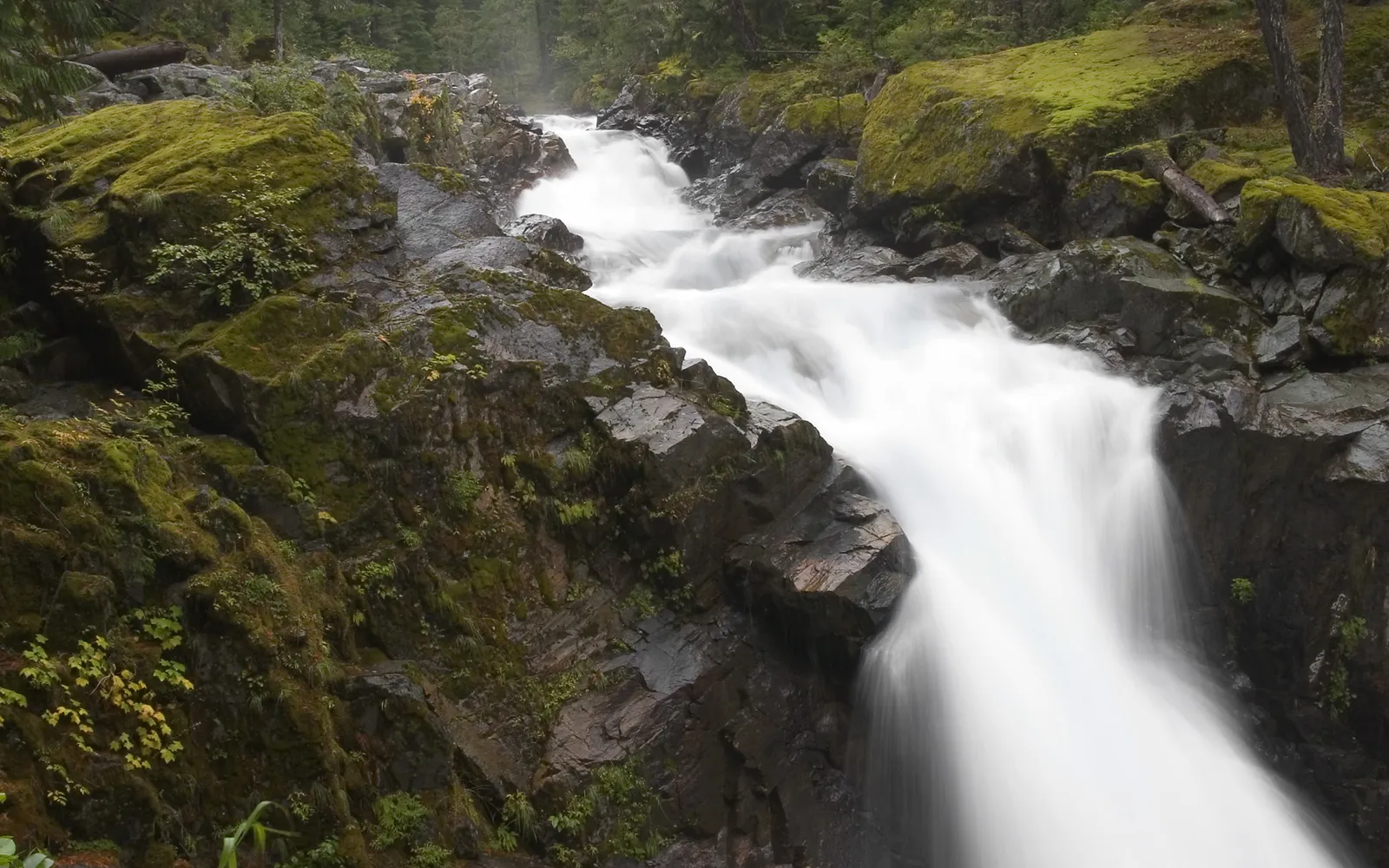 A powerful waterfall cascades over dark, moss-covered rocks in a lush forest.