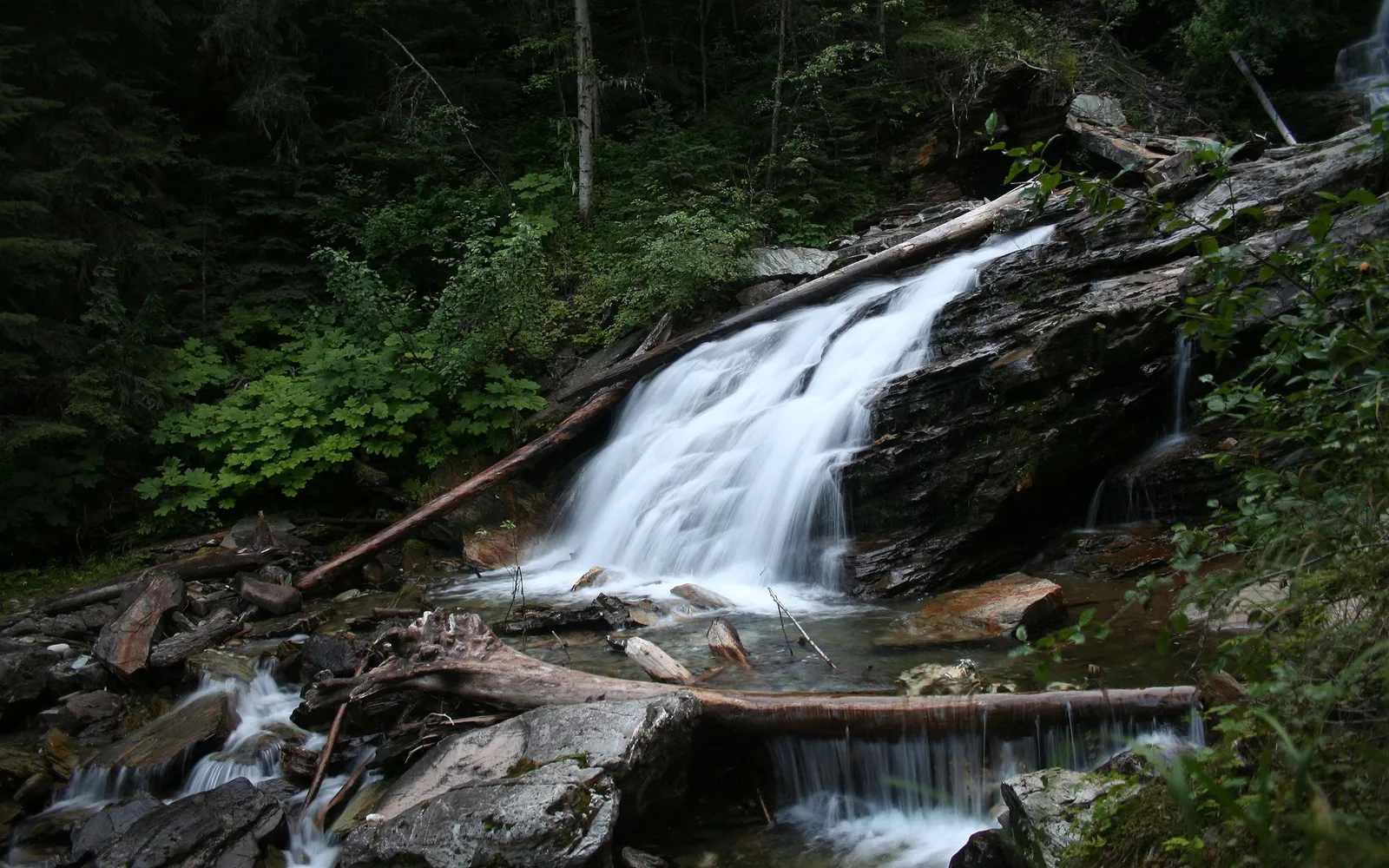 A waterfall cascades over dark, wet rocks in a dense, green forest.