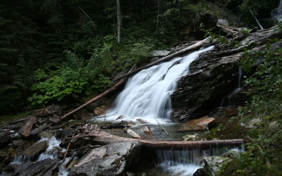A waterfall cascades over dark, wet rocks in a dense, green forest.