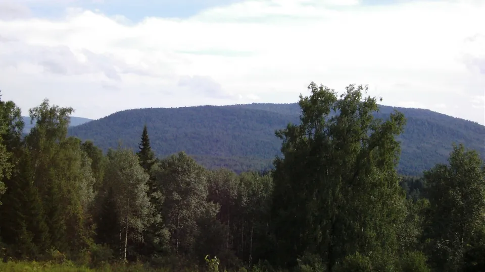 A wide view of rolling, forested hills under a partly cloudy sky.