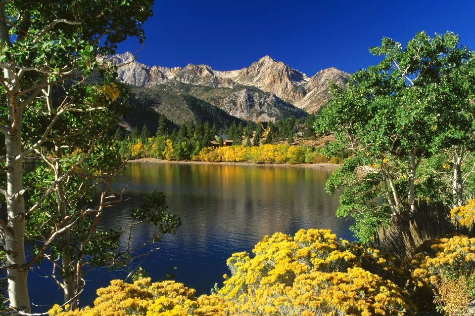 A lake reflects mountains and autumn trees, framed by foreground trees.