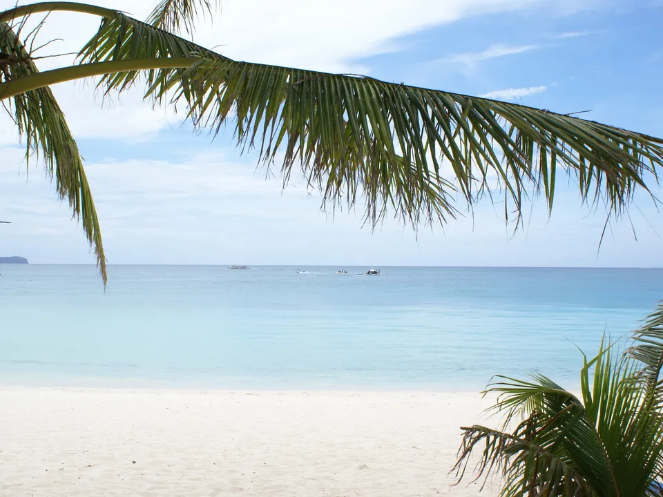 Palm fronds frame a view of a tranquil tropical beach with calm turquoise waters.