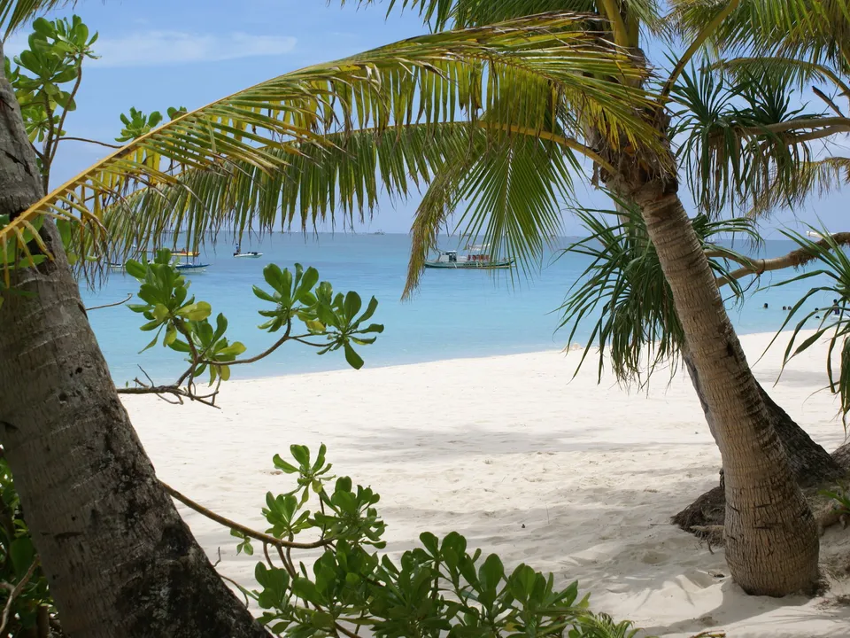 A view of a tropical beach and turquoise water framed by palm leaves and branches.