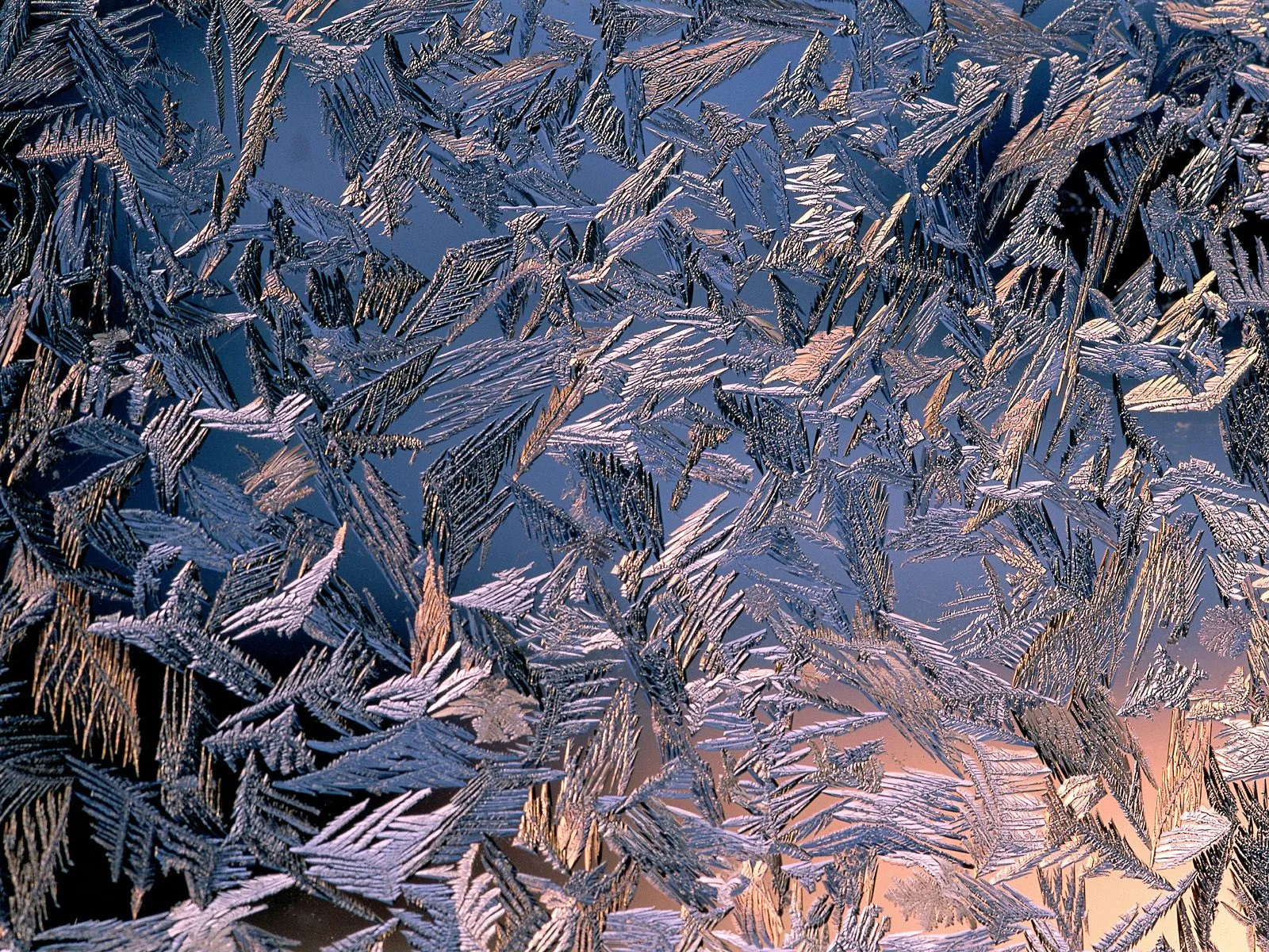 Intricate frost patterns on a window pane with a warm glow behind.