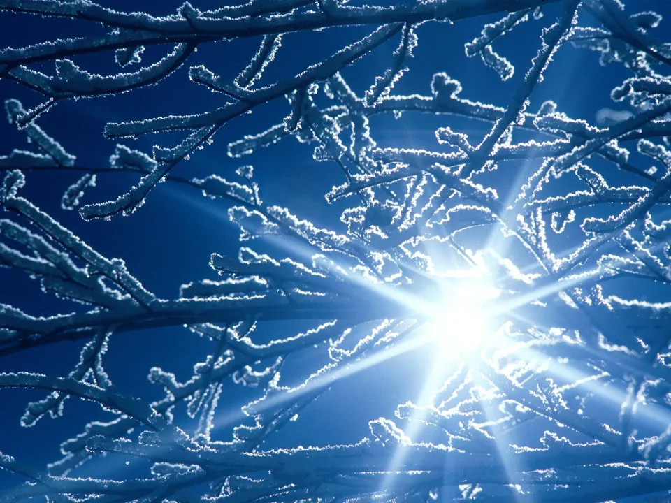 A bright sunburst shines through bare tree branches covered in frost against a deep blue sky.