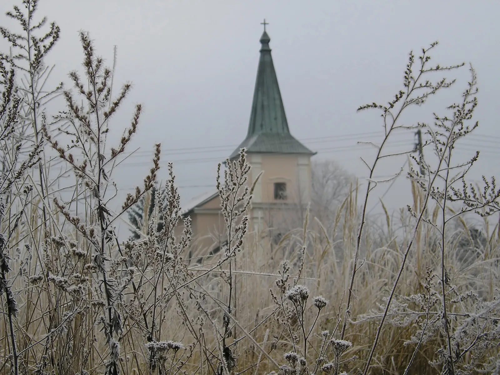 Close-up of frosted grass in the foreground with a church steeple in the blurred background on an overcast day.