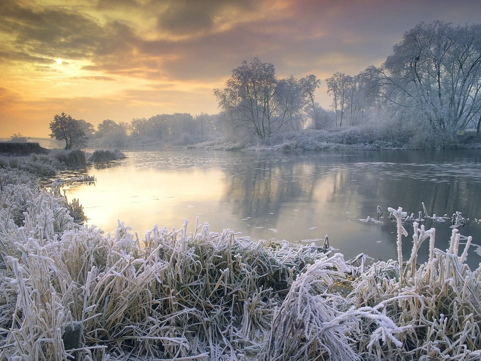 A frozen riverbank covered in frost with trees in the background under a golden sunrise sky.