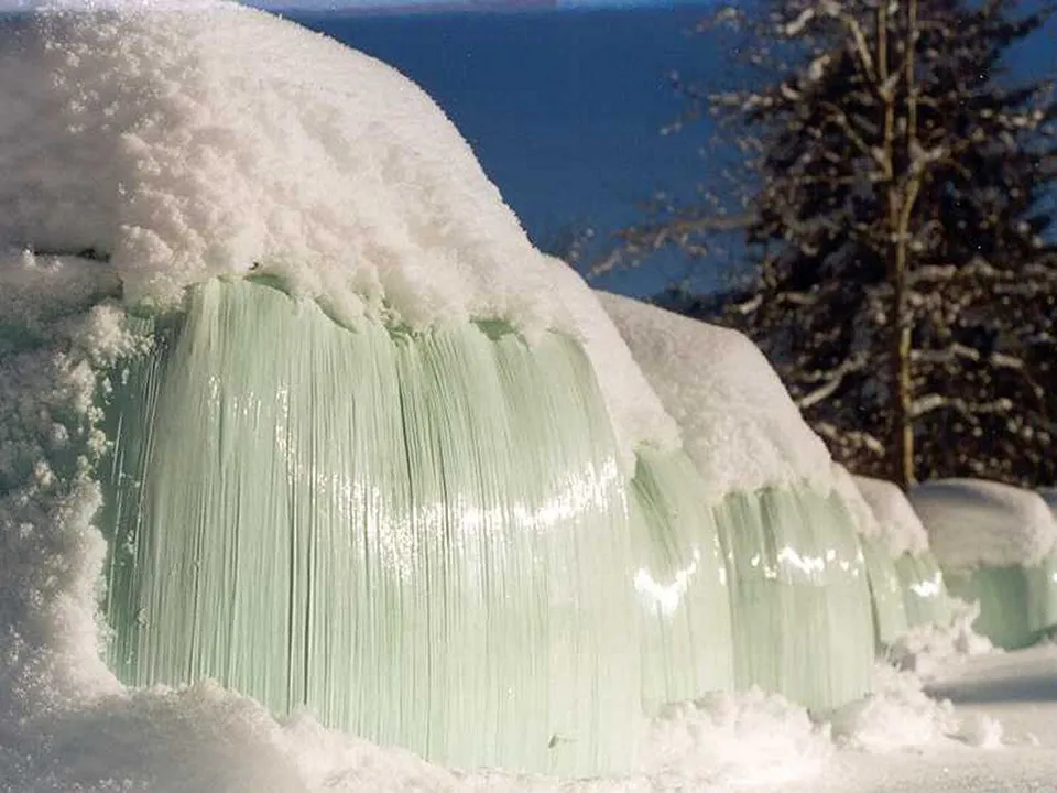 Close-up of translucent green ice formations with vertical lines, covered in fluffy white snow, with a dark tree and blue sky in the background.