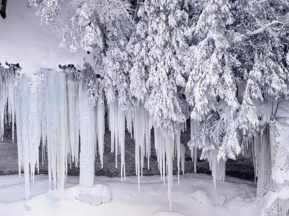 Long icicles hang from snow-covered branches of evergreen trees in a winter landscape.