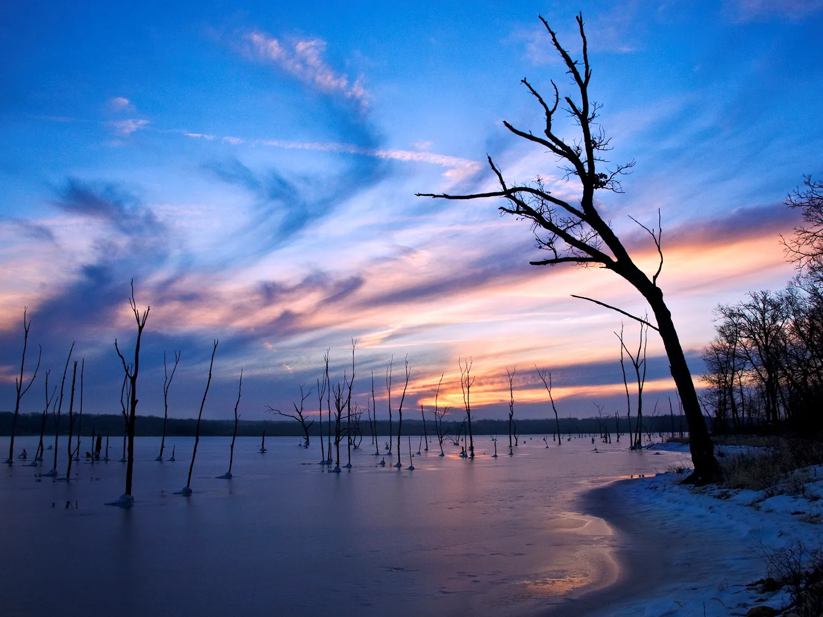 Bare trees stand in a frozen lake under a vibrant sunset sky with streaks of pink and orange.