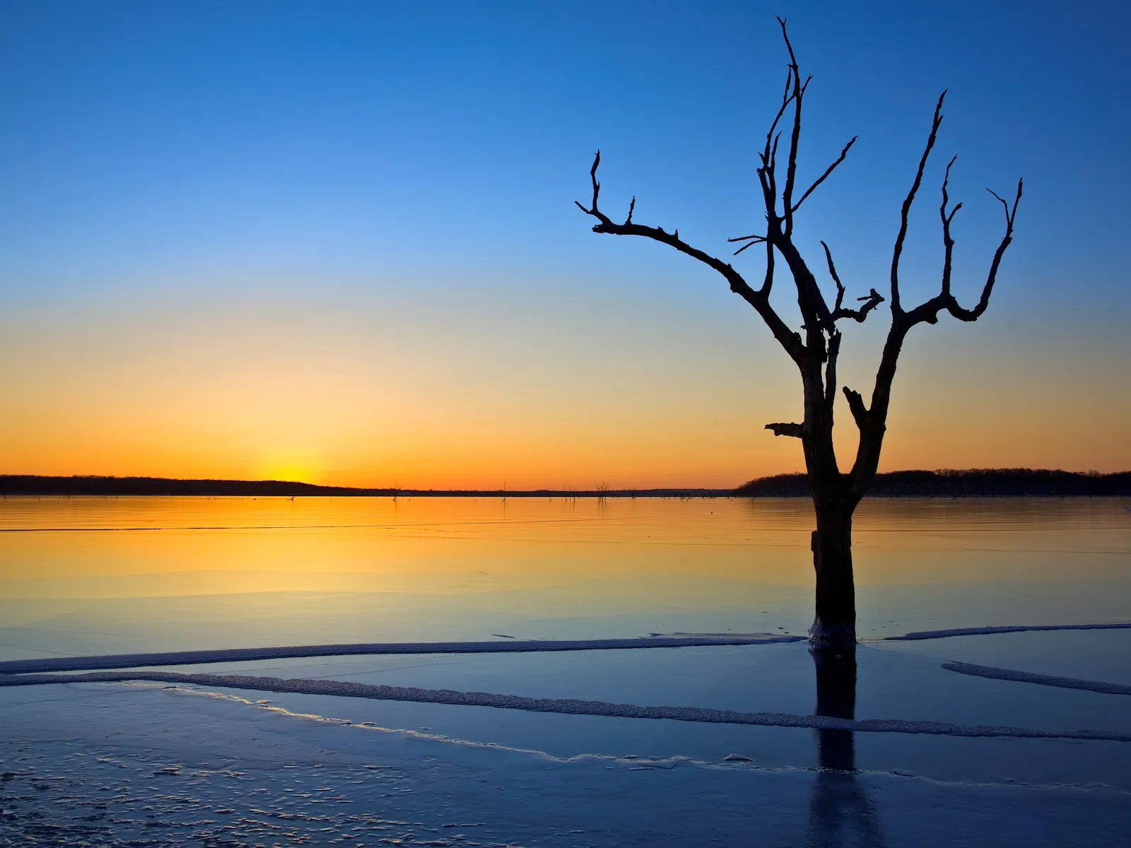 A bare tree silhouette stands in a partially frozen lake during a vibrant sunrise.