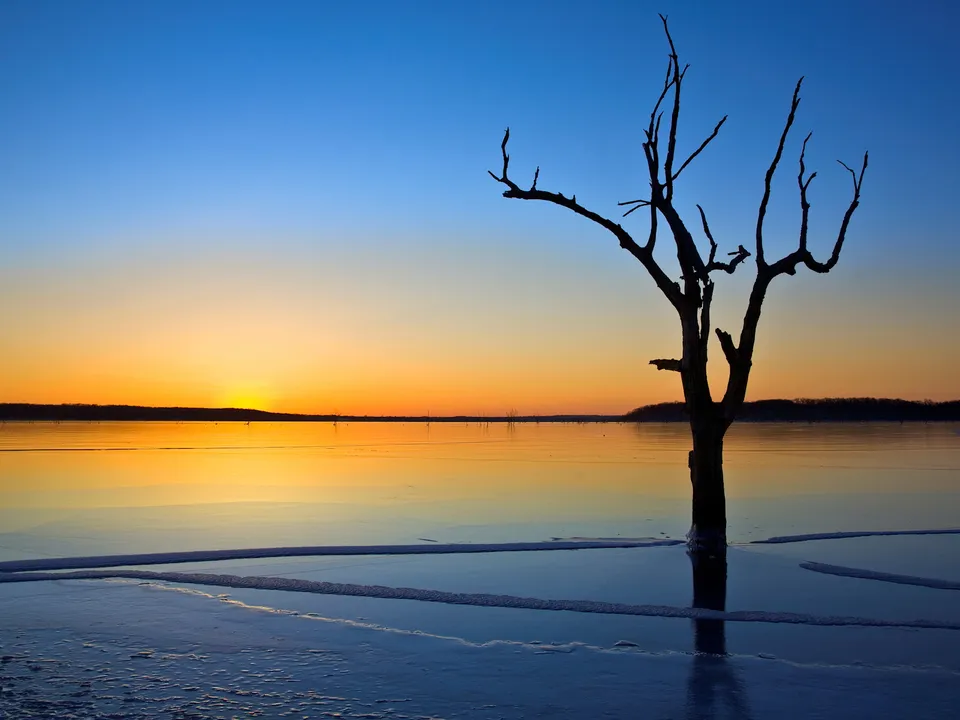 A bare tree silhouette stands in a partially frozen lake during a vibrant sunrise.