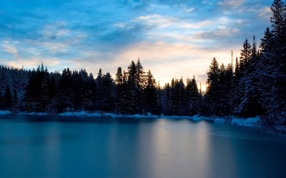 A frozen lake reflects the soft colors of a winter sunset behind a silhouetted pine forest.