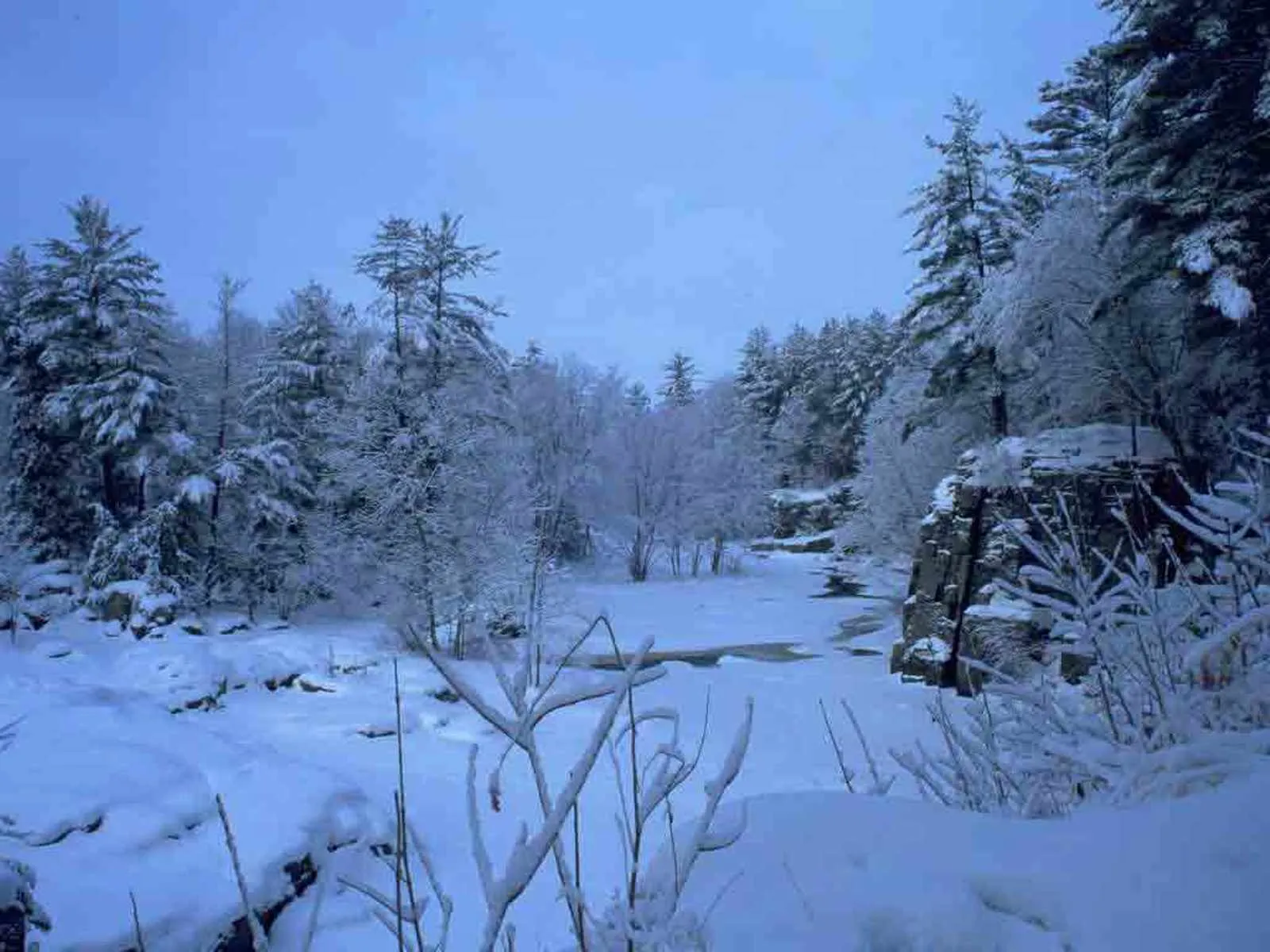 A frozen river winds through a forest blanketed in snow with tall evergreen and deciduous trees.