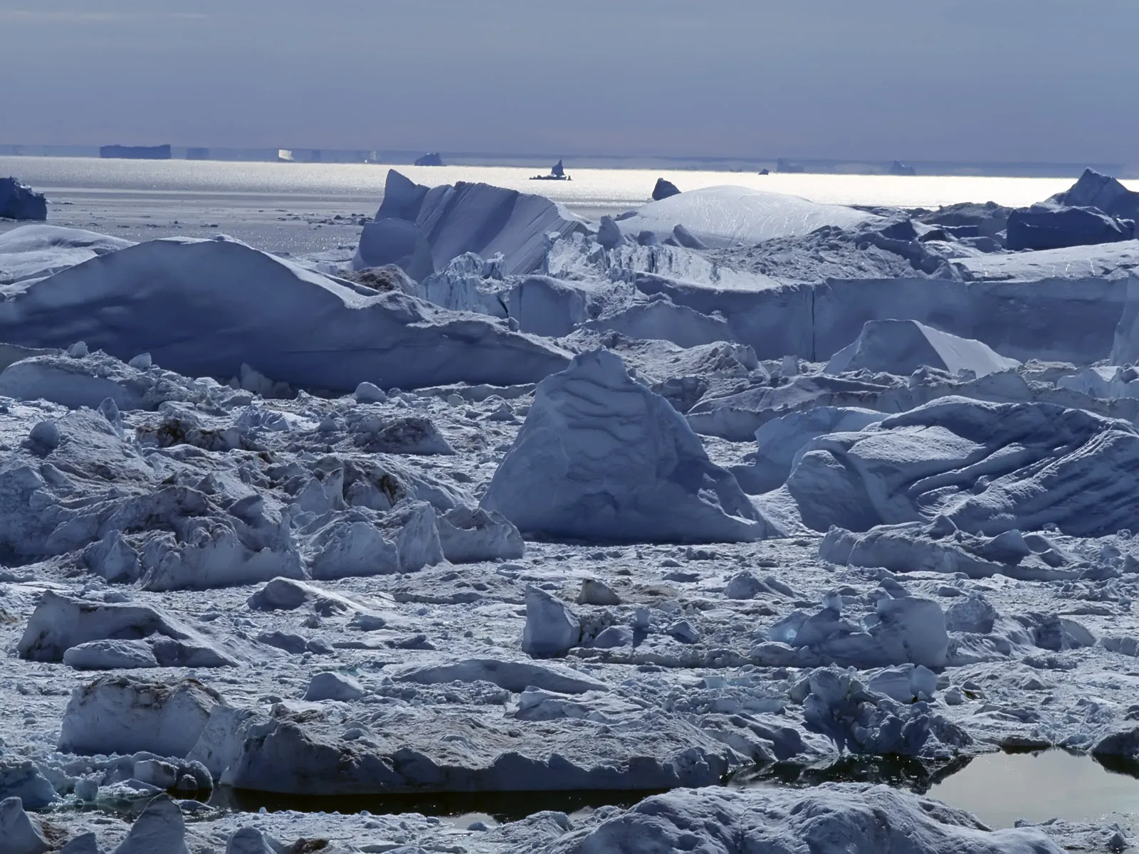 A dense field of icebergs and ice formations covers the frozen sea, with a low sun creating a stark landscape.