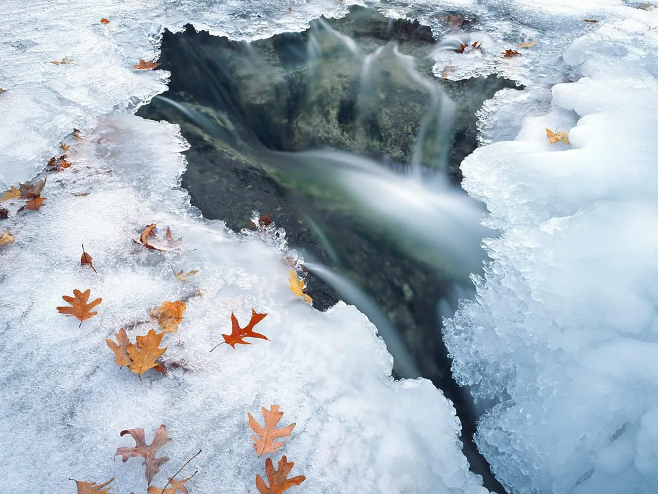 A partially frozen stream with flowing water and scattered autumn leaves on the ice.