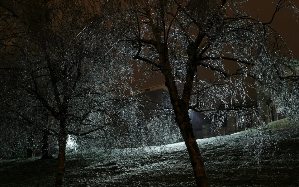 Bare tree branches are coated in ice, glistening under artificial light at night.