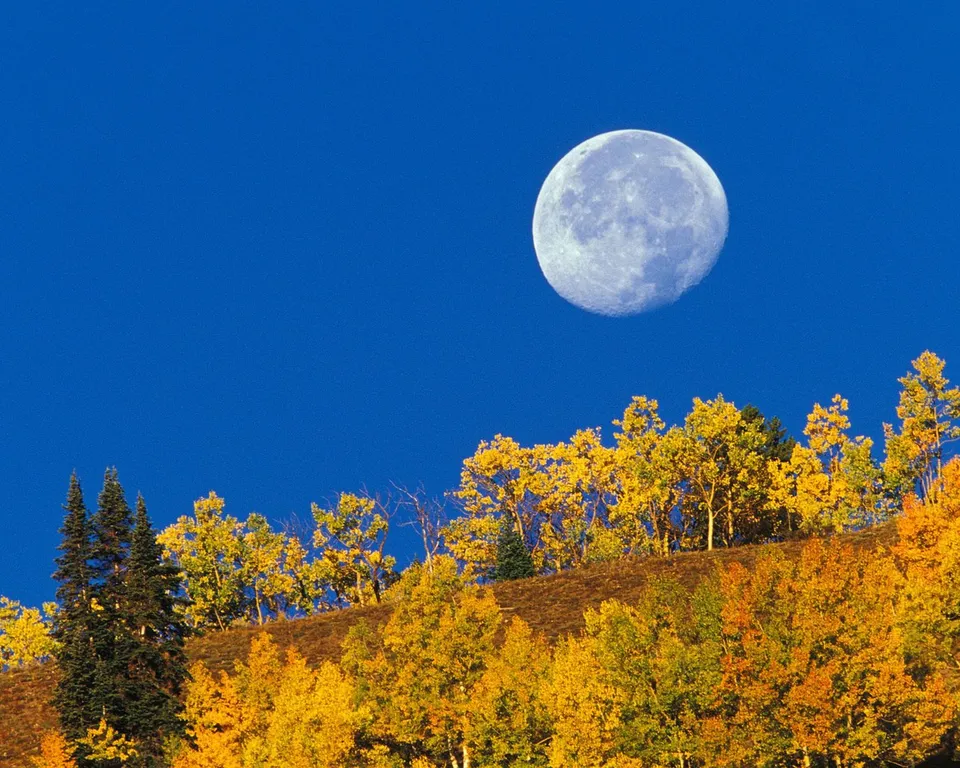 A large full moon hangs in a clear blue sky above a hillside covered in vibrant autumn foliage.