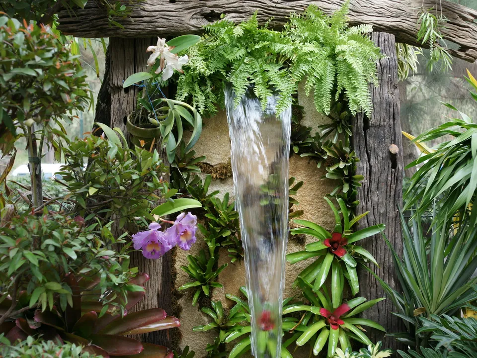 A small waterfall cascades down a wall surrounded by various green plants and flowers.