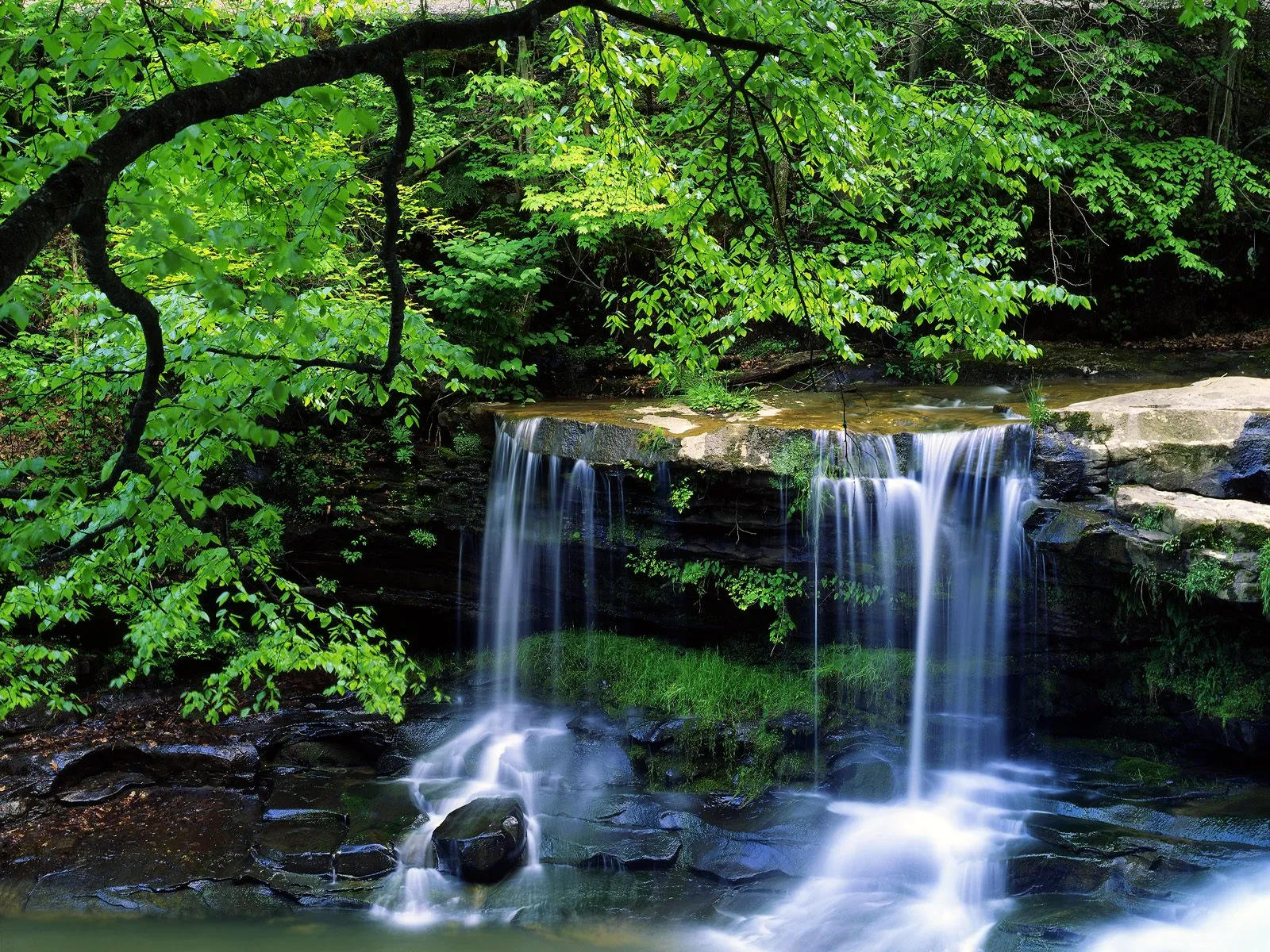 A serene waterfall flows over layered rocks, surrounded by lush green forest foliage.