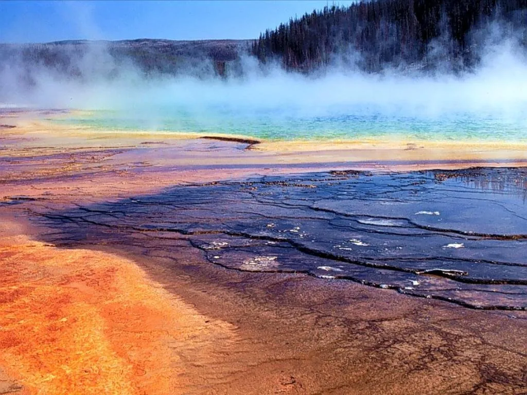 A steaming geothermal pool displays vibrant bands of orange, yellow, blue, and green, with a dark forest in the background.