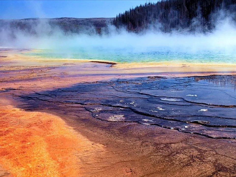 A steaming geothermal pool displays vibrant bands of orange, yellow, blue, and green, with a dark forest in the background.