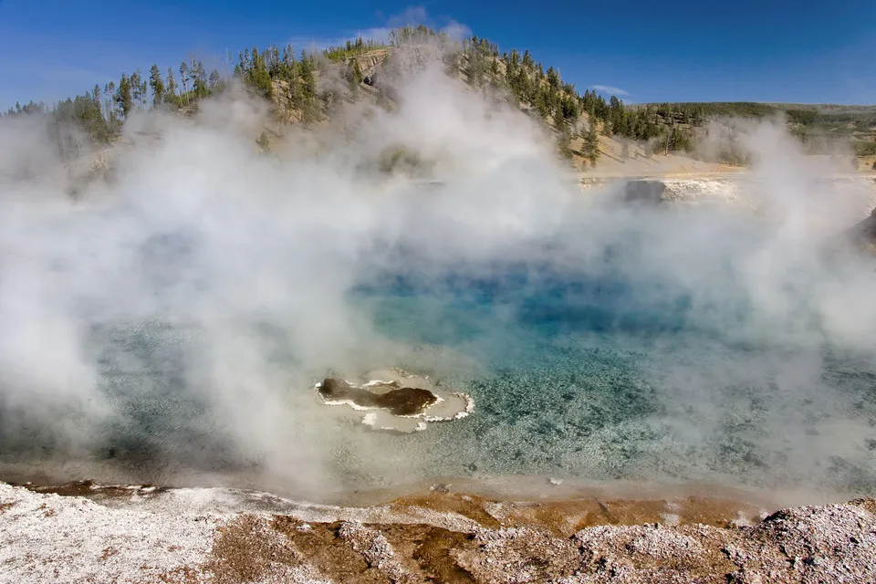 A vibrant blue geothermal pool with steam rising, set against a backdrop of a tree-covered hill and a clear blue sky.