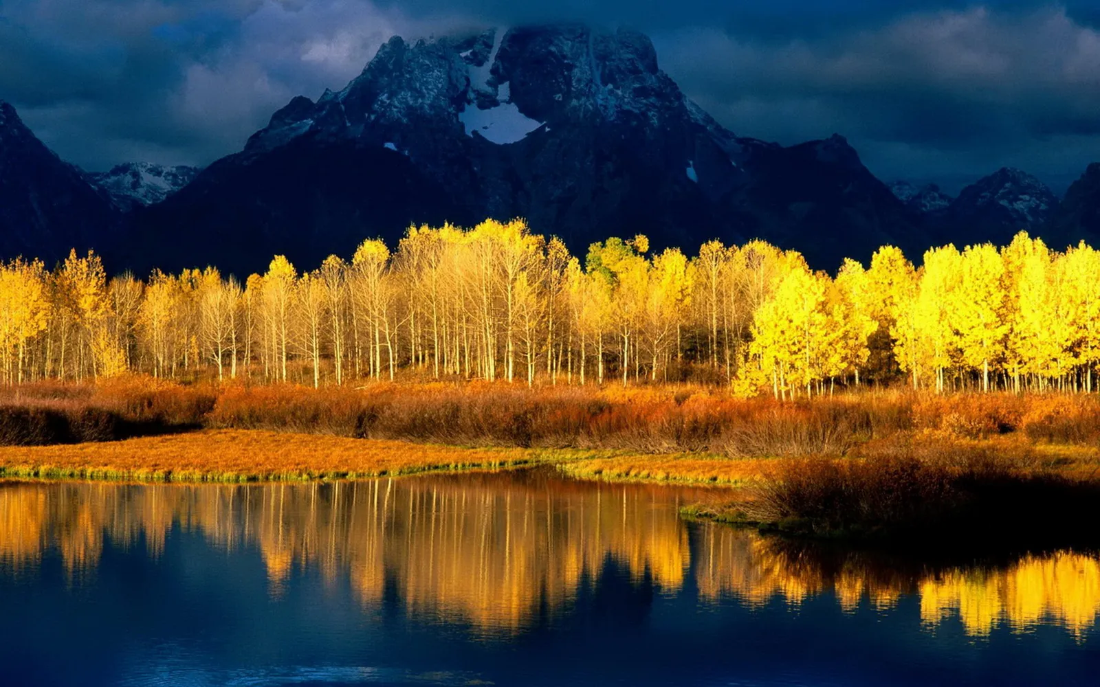 A line of bright yellow aspen trees reflected in a dark blue lake, with snow-capped mountains in the background under a dark sky.