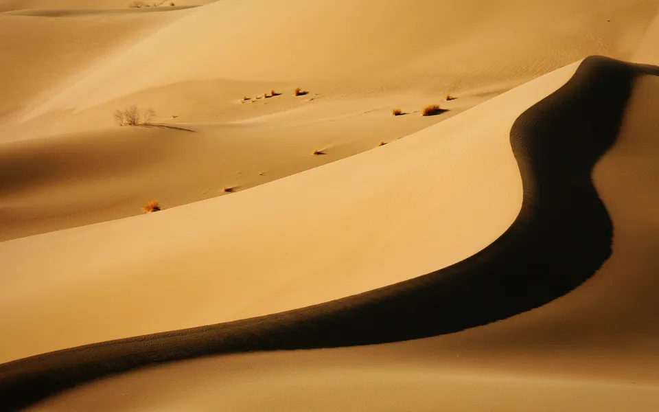 Close-up view of undulating sand dunes with sparse dry vegetation and long shadows.