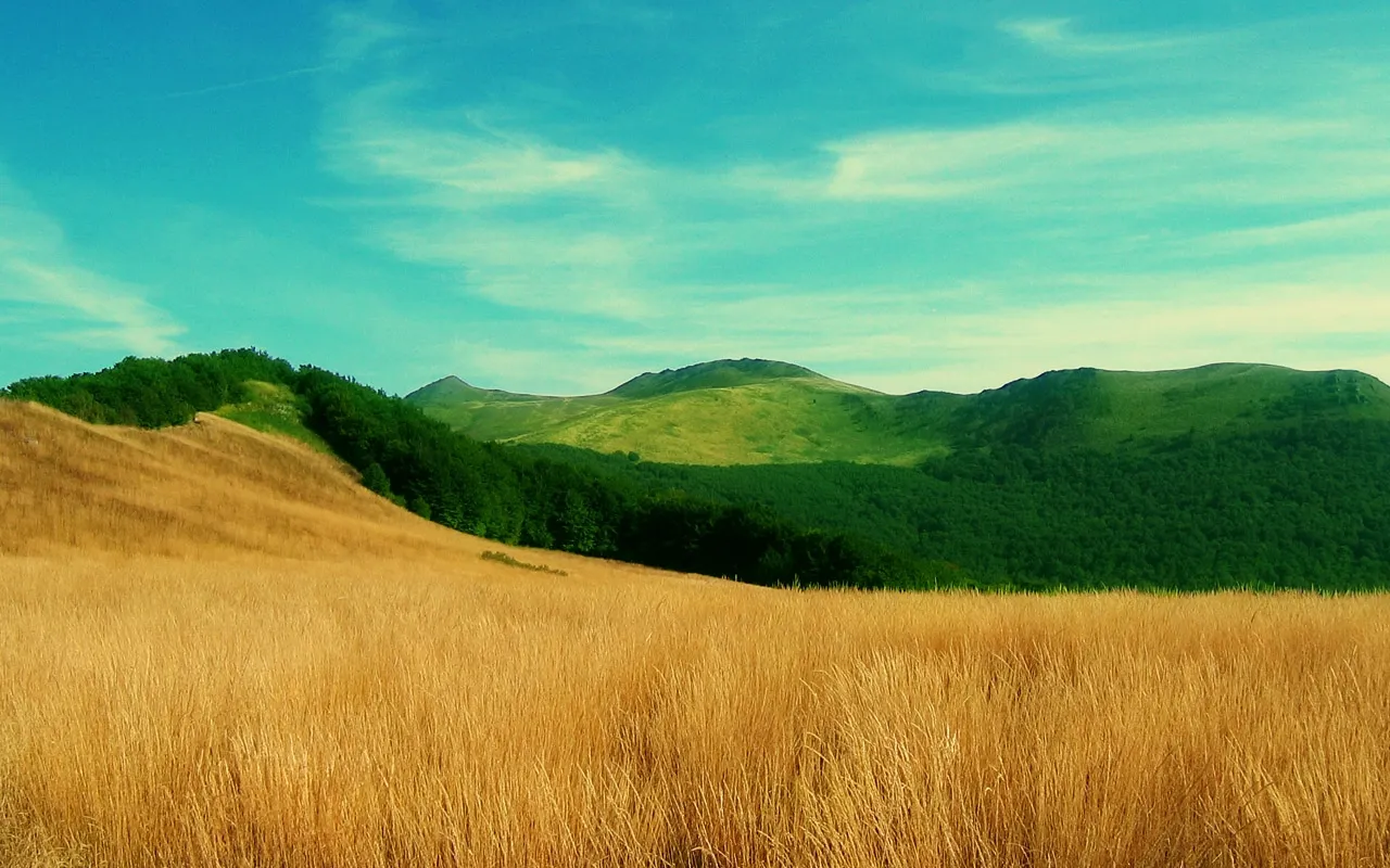 A wide shot of a golden grassy field in the foreground with rolling green hills and mountains in the background under a blue sky.