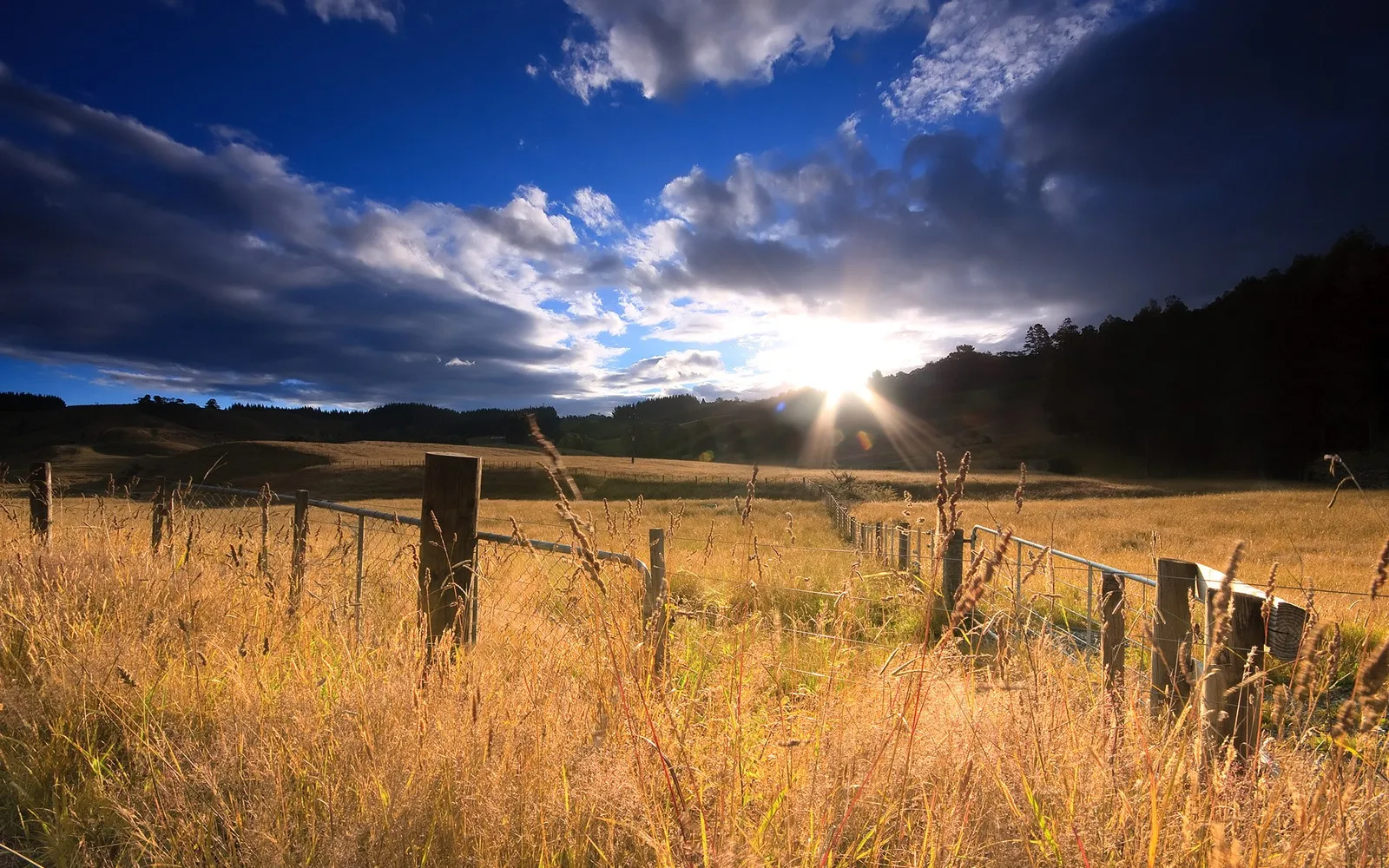 A golden field with a fence in the foreground under a dramatic sky with a bright sunburst.