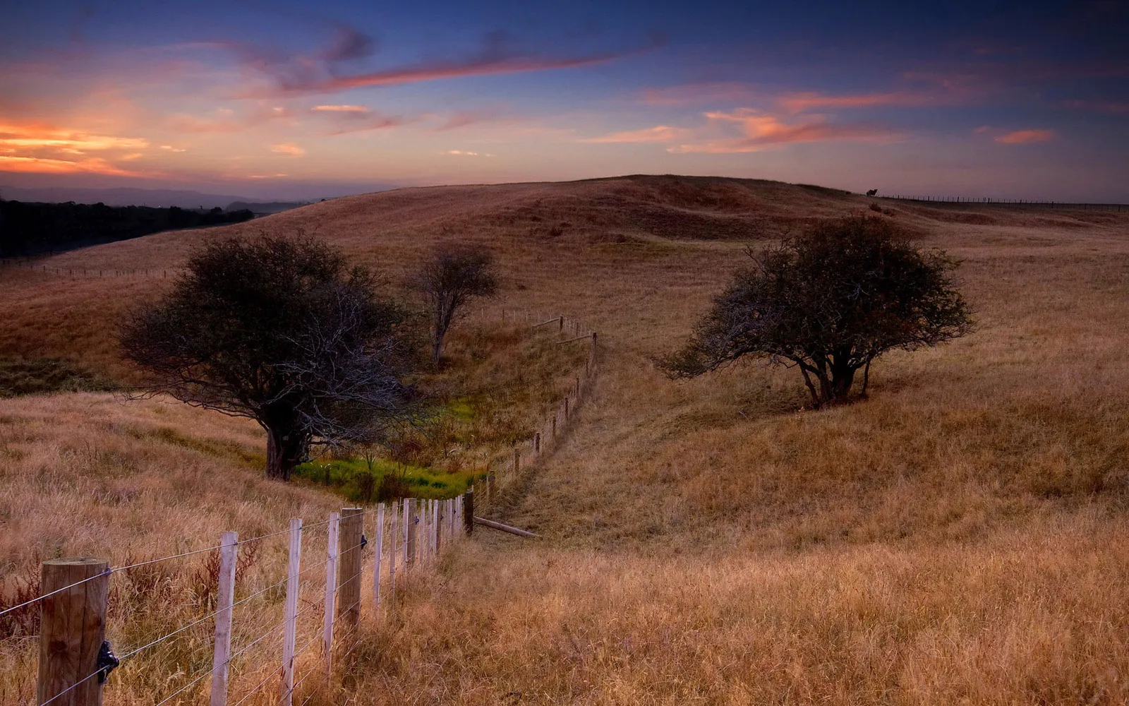 Rolling golden hills with scattered trees and a fence line under a colorful sunset sky.