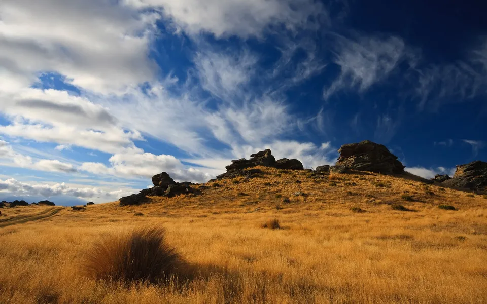 A wide shot of golden dry grass covering rolling hills with rocky outcrops under a deep blue sky with wispy clouds.