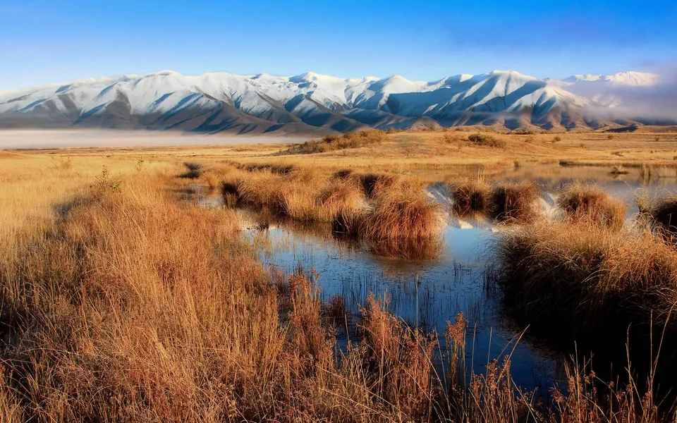 A serene landscape with golden dry grass in the foreground and snow-capped mountains in the distance reflected in a calm lake.