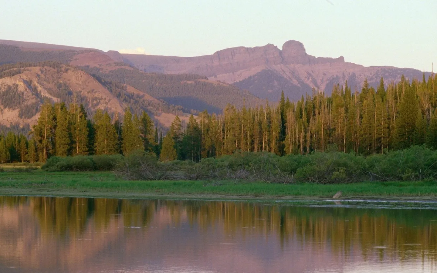 A calm lake reflects a mountain range and evergreen forest during golden hour.
