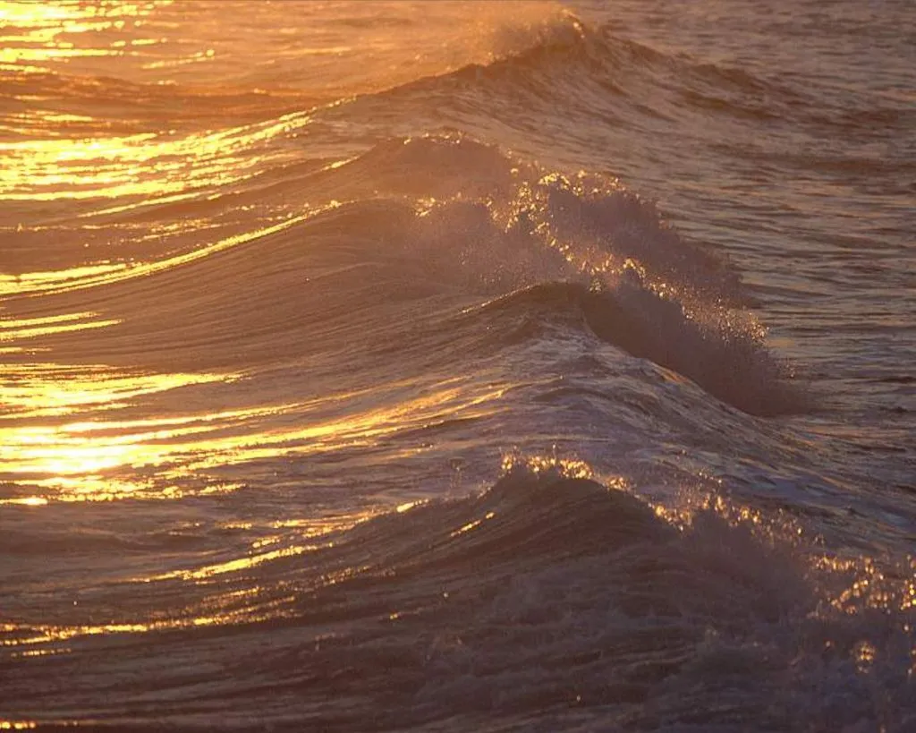 Close-up of ocean waves illuminated by the golden light of sunset.