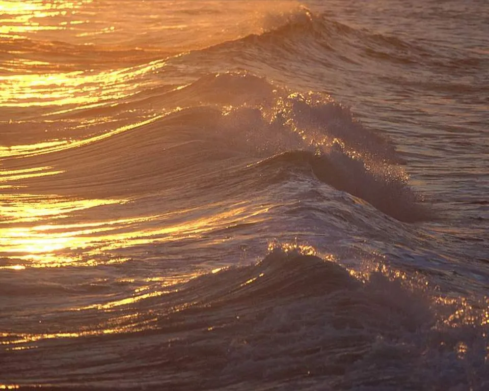 Close-up of ocean waves illuminated by the golden light of sunset.