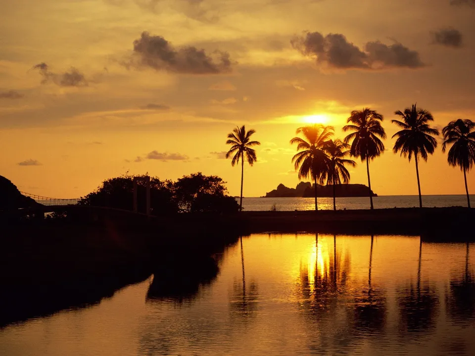 Silhouetted palm trees and a distant island are reflected in tranquil water during a golden hour sunset.
