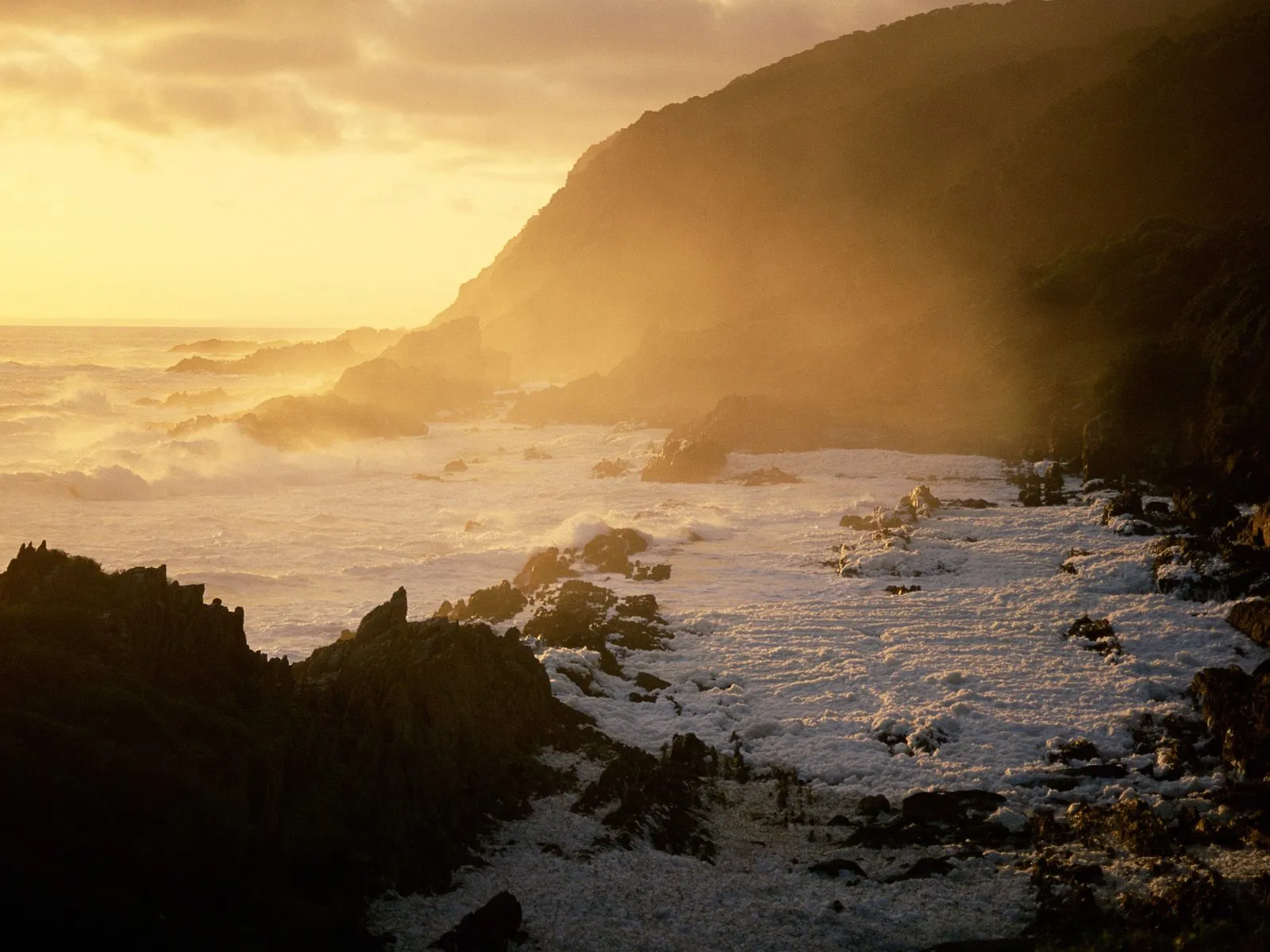 A rugged coastline bathed in the warm glow of golden hour light, with waves crashing against rocks and sea foam covering the shore.