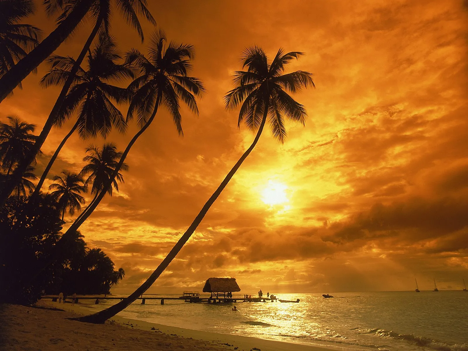 Silhouetted palm trees lean over a beach towards a pier with a hut during a golden sunset.