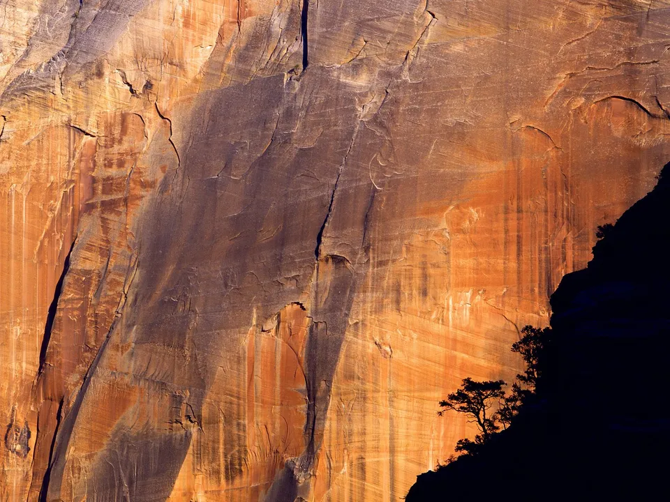 A close-up view of a massive, textured rock face illuminated by warm golden light, with a dark silhouette of trees on the right.