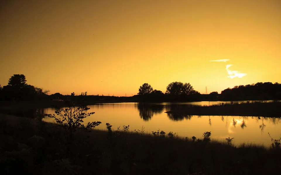 A golden orange sky reflects on a calm lake with silhouetted trees.