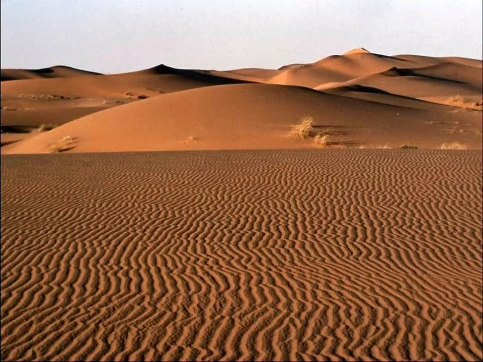 Golden sand dunes show intricate ripple patterns under a clear sky.