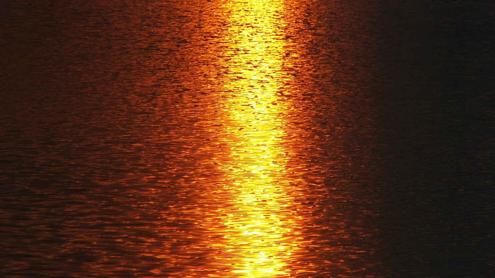 A bright golden reflection of the sun shimmers on the dark, rippling surface of water.
