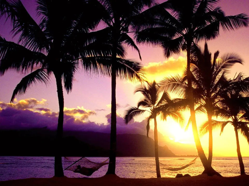 Silhouetted palm trees and a hammock on a beach at sunset with a golden sunburst.