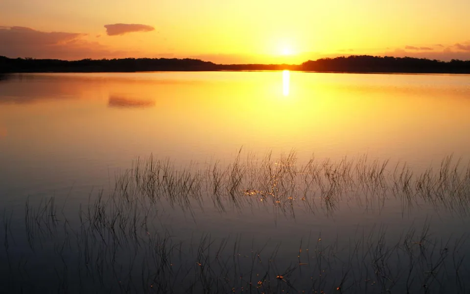 A vibrant sunrise casts a golden glow over a tranquil lake with reeds reflecting in the water.