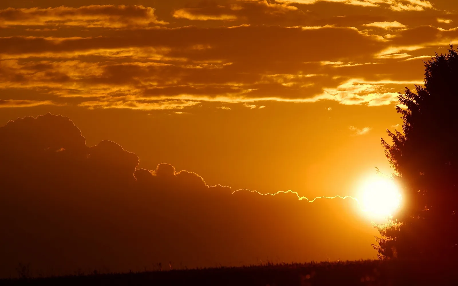 The sun sets behind a silhouetted tree, casting a warm golden glow over dramatic clouds and a dark foreground.