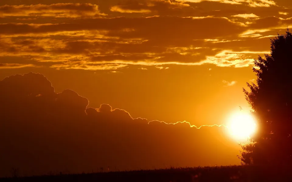The sun sets behind a silhouetted tree, casting a warm golden glow over dramatic clouds and a dark foreground.