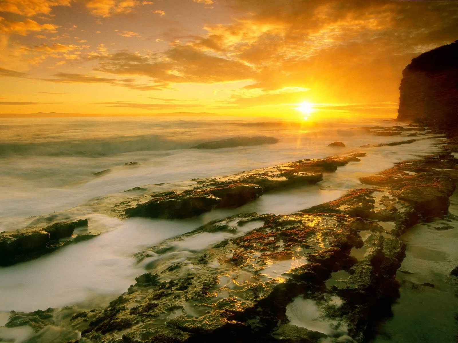 A vibrant golden sunset illuminates wet rocks along a rocky coastline with gentle waves.