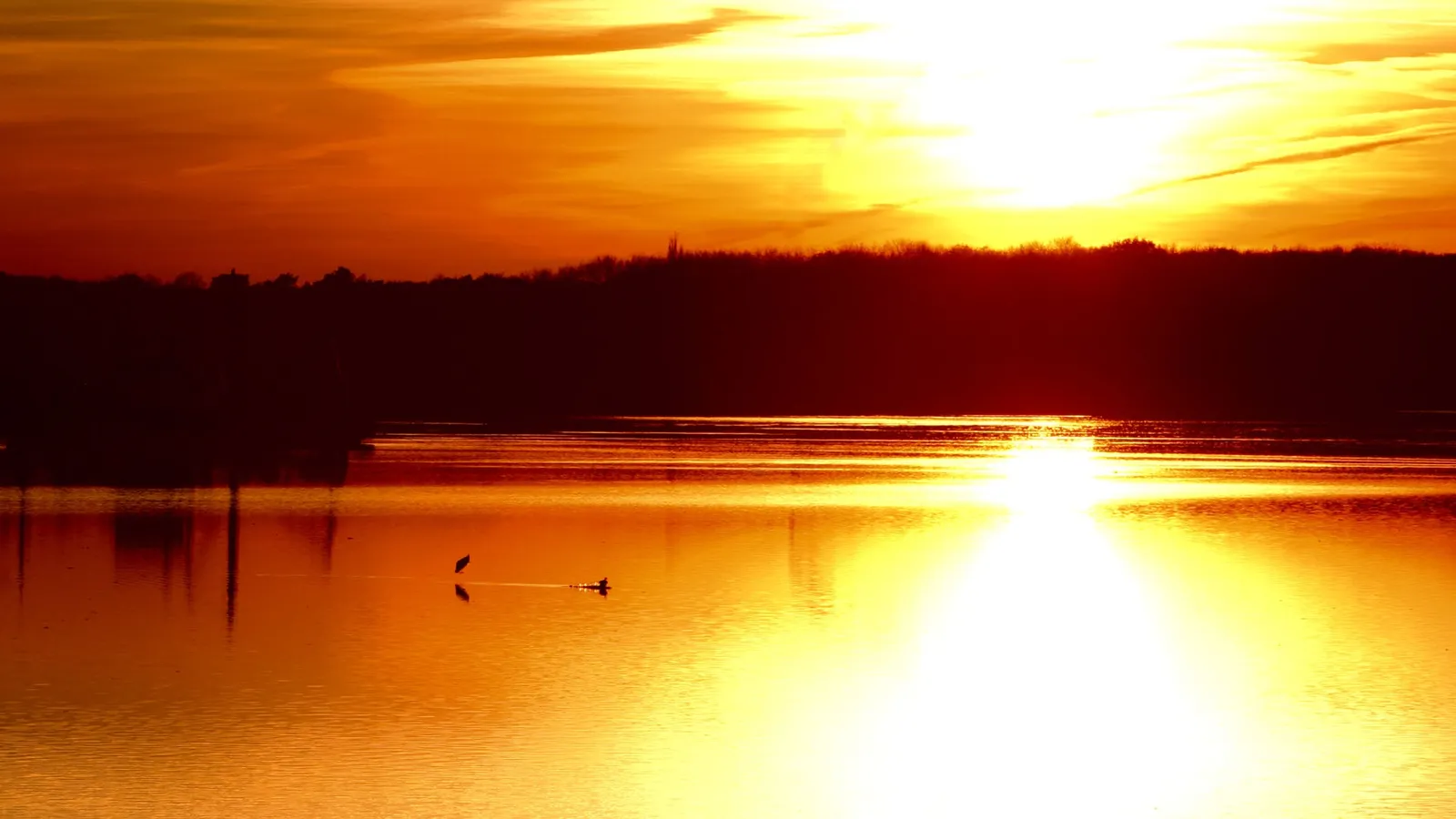 A vibrant orange and yellow sunset reflects on a calm lake, with a dark silhouette of trees along the horizon.
